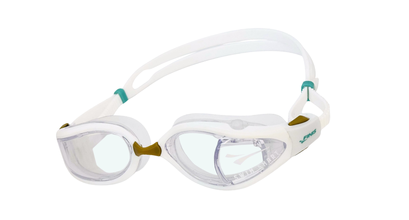 Replacement goggle