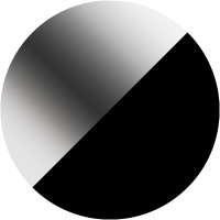 Silver Mirror/Black